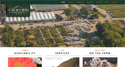 Desktop Screenshot of cavicchio.com